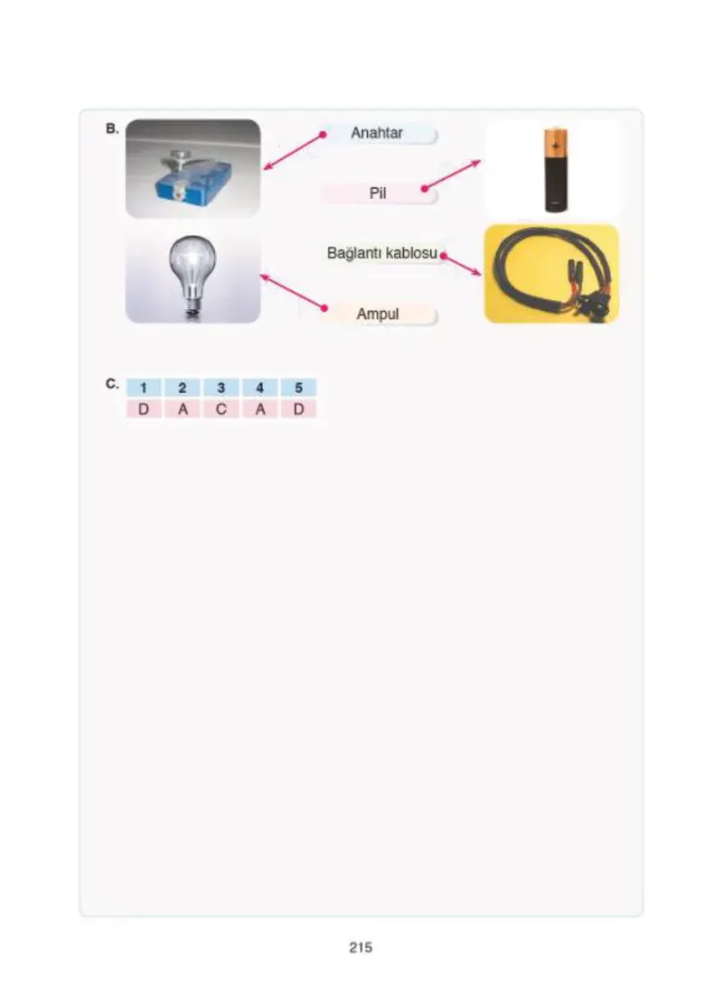 4. Sınıf Fen Bilimleri Ders Kitabı Cevapları SDR İpekyolu Yayıncılık Sayfa 215