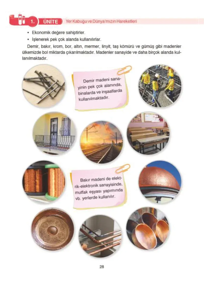 4. Sınıf Fen Bilimleri Ders Kitabı Cevapları SDR İpekyolu Yayıncılık Sayfa 28