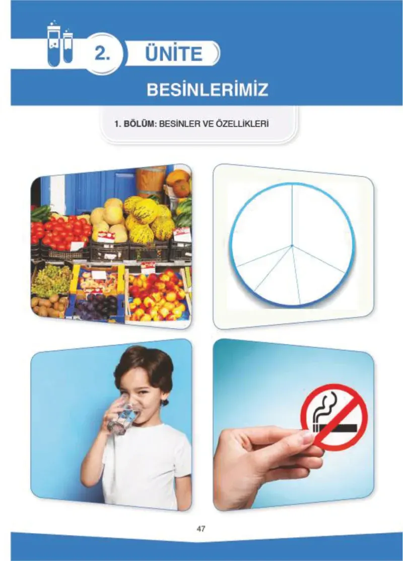 4. Sınıf Fen Bilimleri Ders Kitabı Cevapları SDR İpekyolu Yayıncılık Sayfa 47