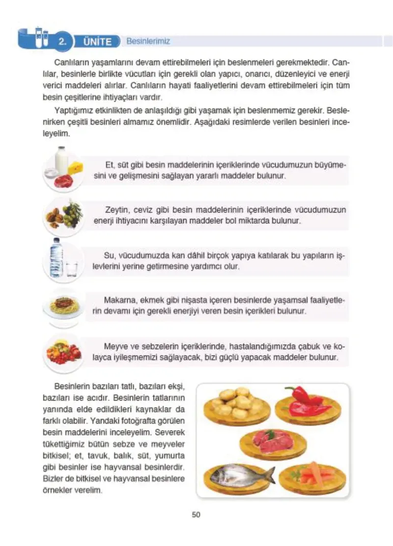4. Sınıf Fen Bilimleri Ders Kitabı Cevapları SDR İpekyolu Yayıncılık Sayfa 50