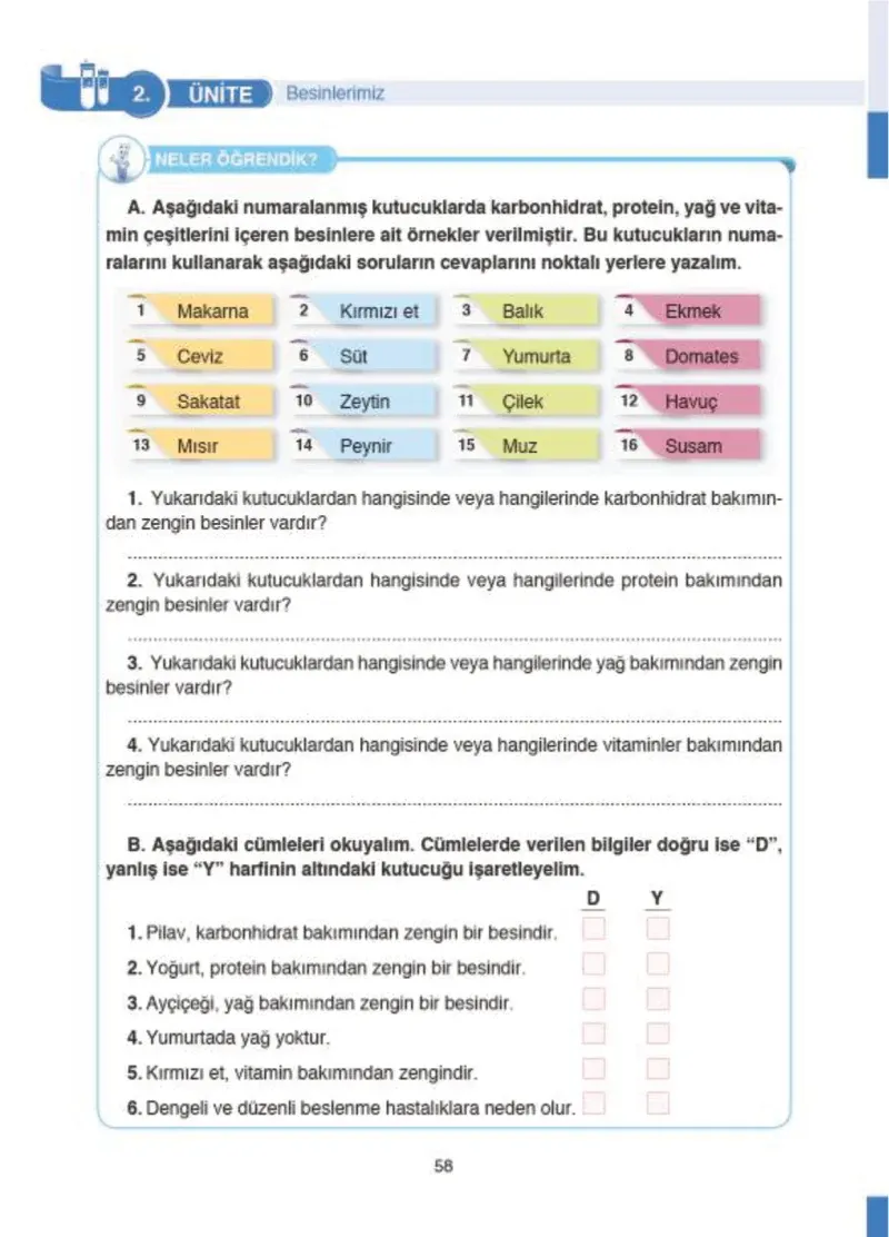4. Sınıf Fen Bilimleri Ders Kitabı Cevapları SDR İpekyolu Yayıncılık Sayfa 58