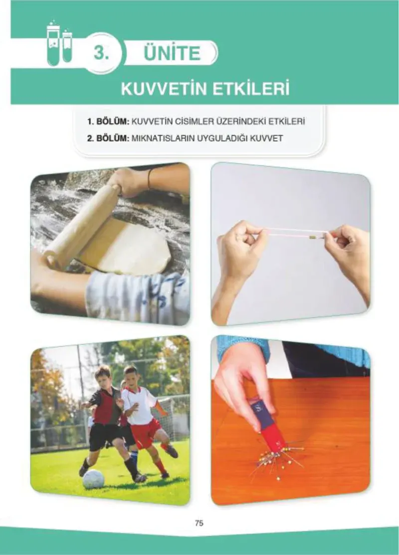 4. Sınıf Fen Bilimleri Ders Kitabı Cevapları SDR İpekyolu Yayıncılık Sayfa 75