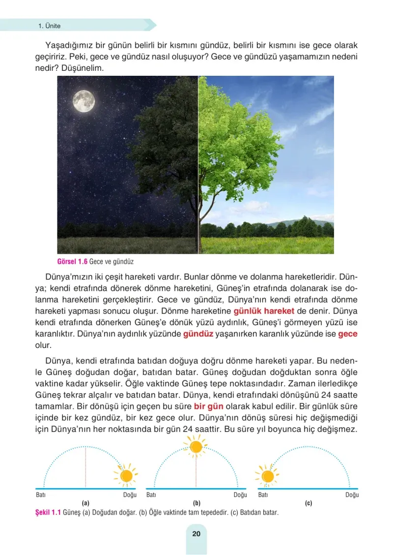 4. Sınıf Fen Bilimleri Ders Kitabı Cevapları Sözcü Yayınları Sayfa 20