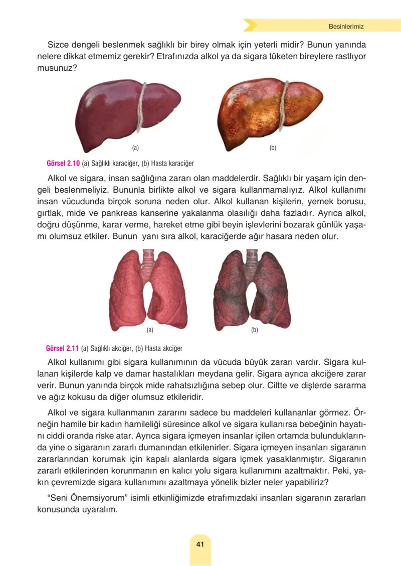 4. Sınıf Fen Bilimleri Ders Kitabı Cevapları Sözcü Yayınları Sayfa 41