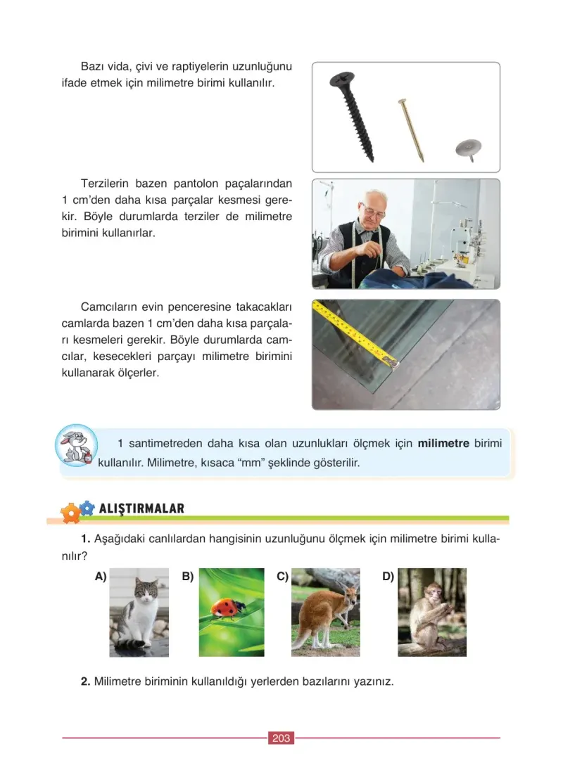 4. Sınıf Matematik Ders Kitabı Cevapları Ada Yayınları Sayfa 203