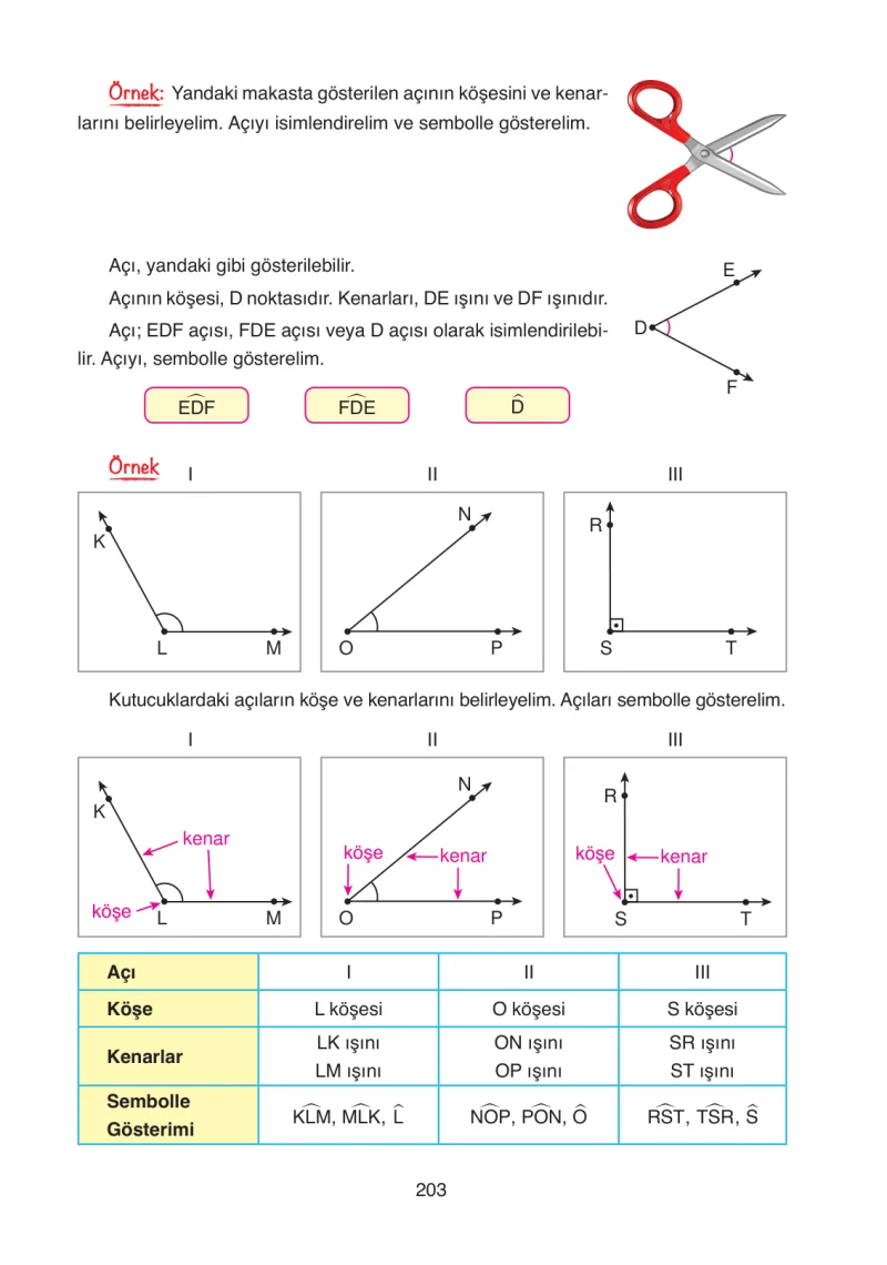 4. Sınıf Matematik Ders Kitabı Cevapları Ata Yayınları Sayfa 203