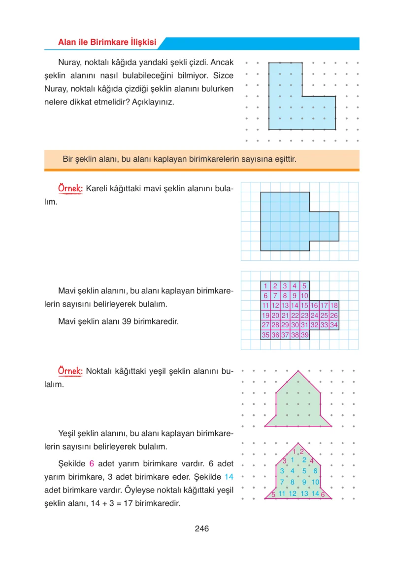 4. Sınıf Matematik Ders Kitabı Cevapları Ata Yayınları Sayfa 246