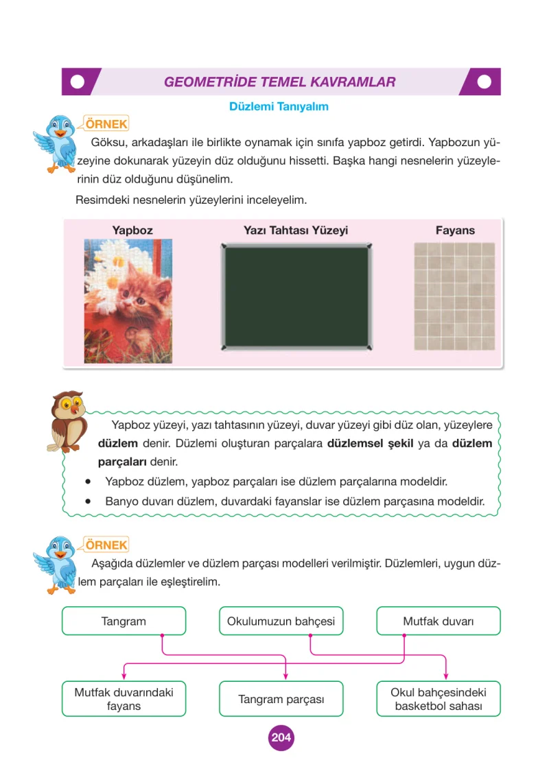 4. Sınıf Matematik Ders Kitabı Cevapları Pasifik Yayınları Sayfa 204