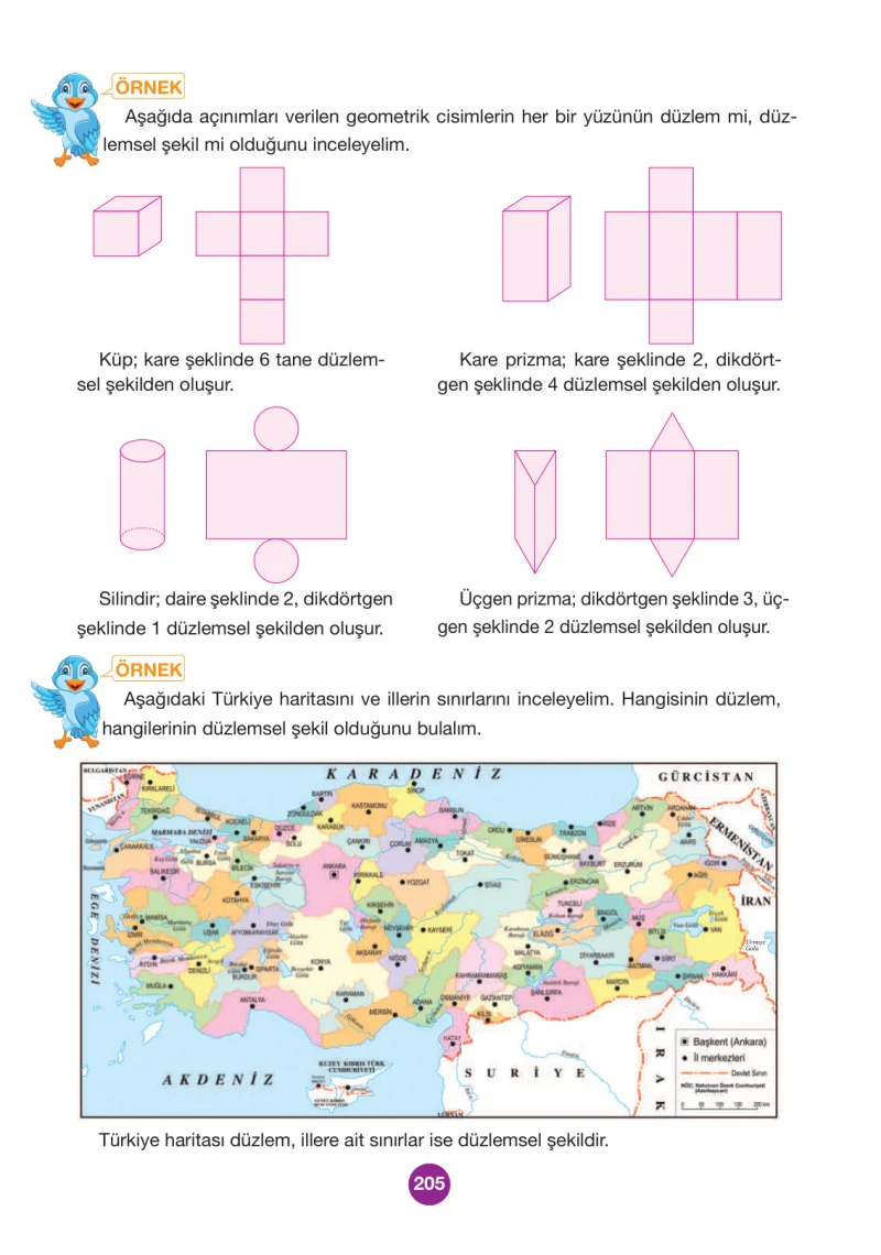 4. Sınıf Matematik Ders Kitabı Cevapları Pasifik Yayınları Sayfa 205