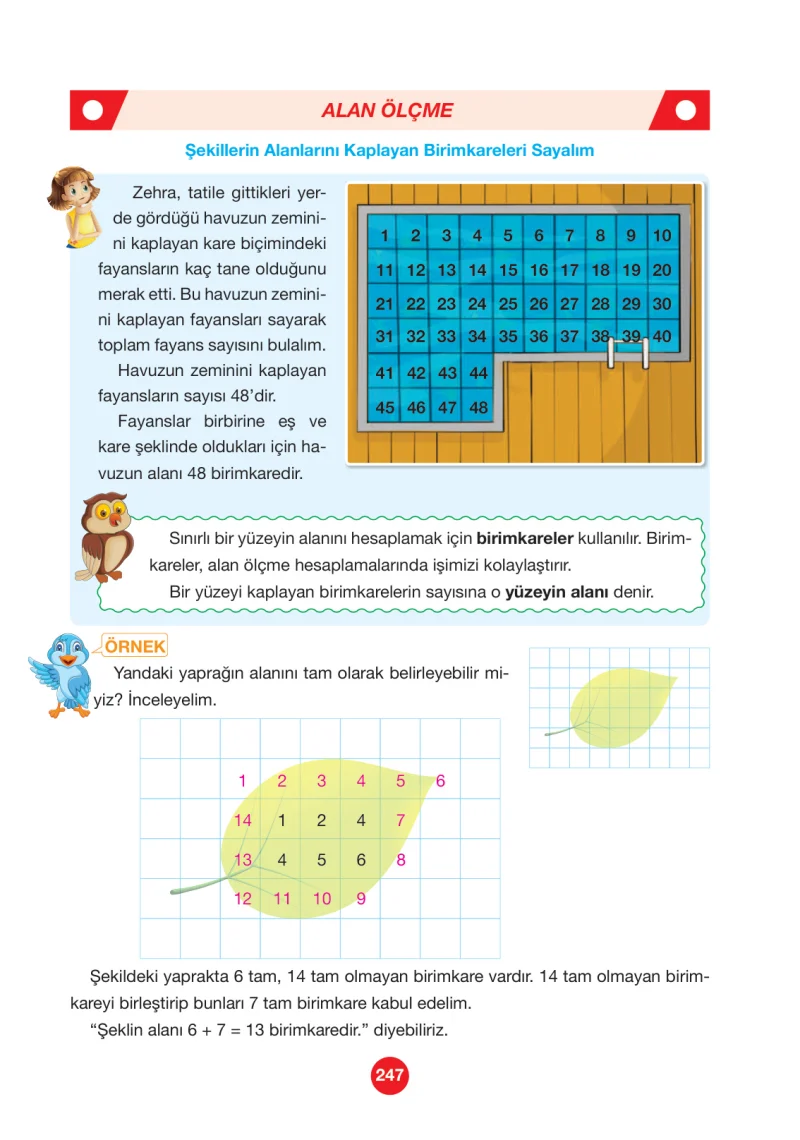 4. Sınıf Matematik Ders Kitabı Cevapları Pasifik Yayınları Sayfa 247