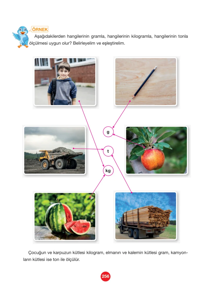 4. Sınıf Matematik Ders Kitabı Cevapları Pasifik Yayınları Sayfa 256