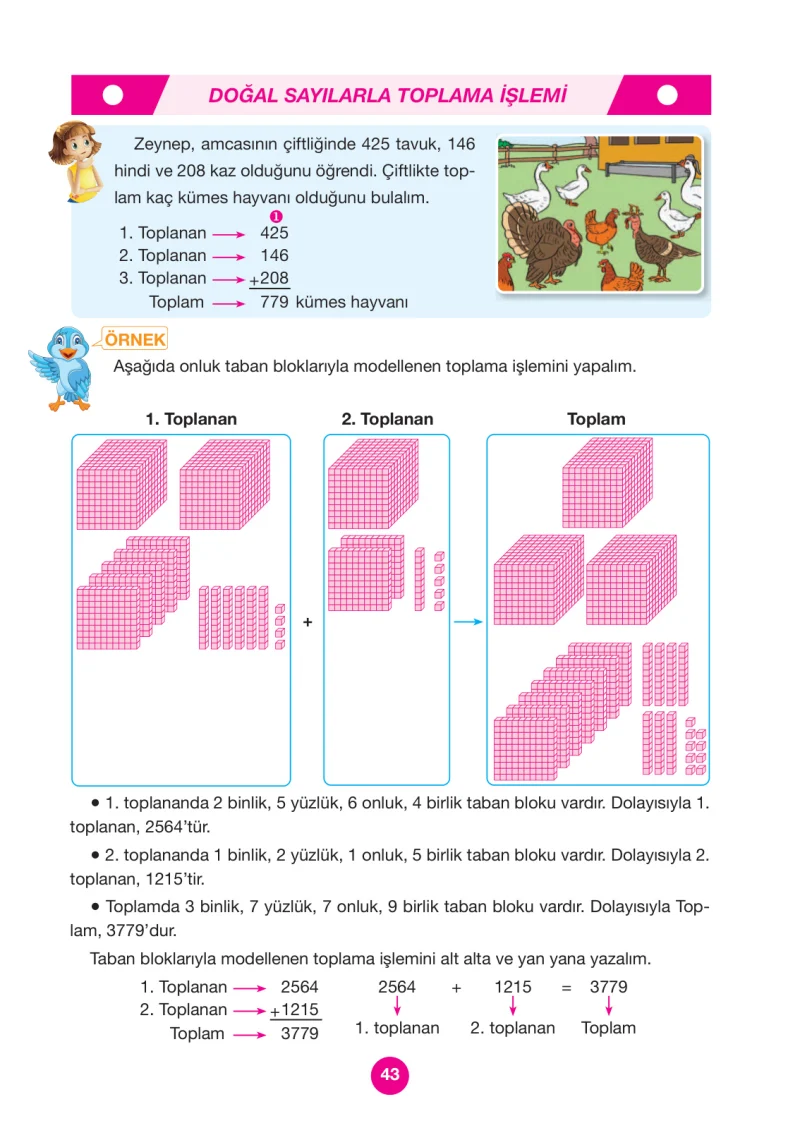 4. Sınıf Matematik Ders Kitabı Cevapları Pasifik Yayınları Sayfa 43