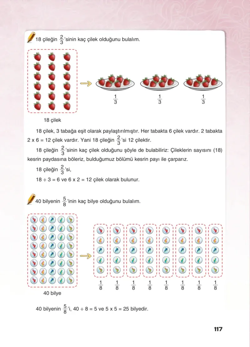 4. Sınıf Matematik Ders Kitabı Cevapları Sevgi Yayınları Sayfa 117