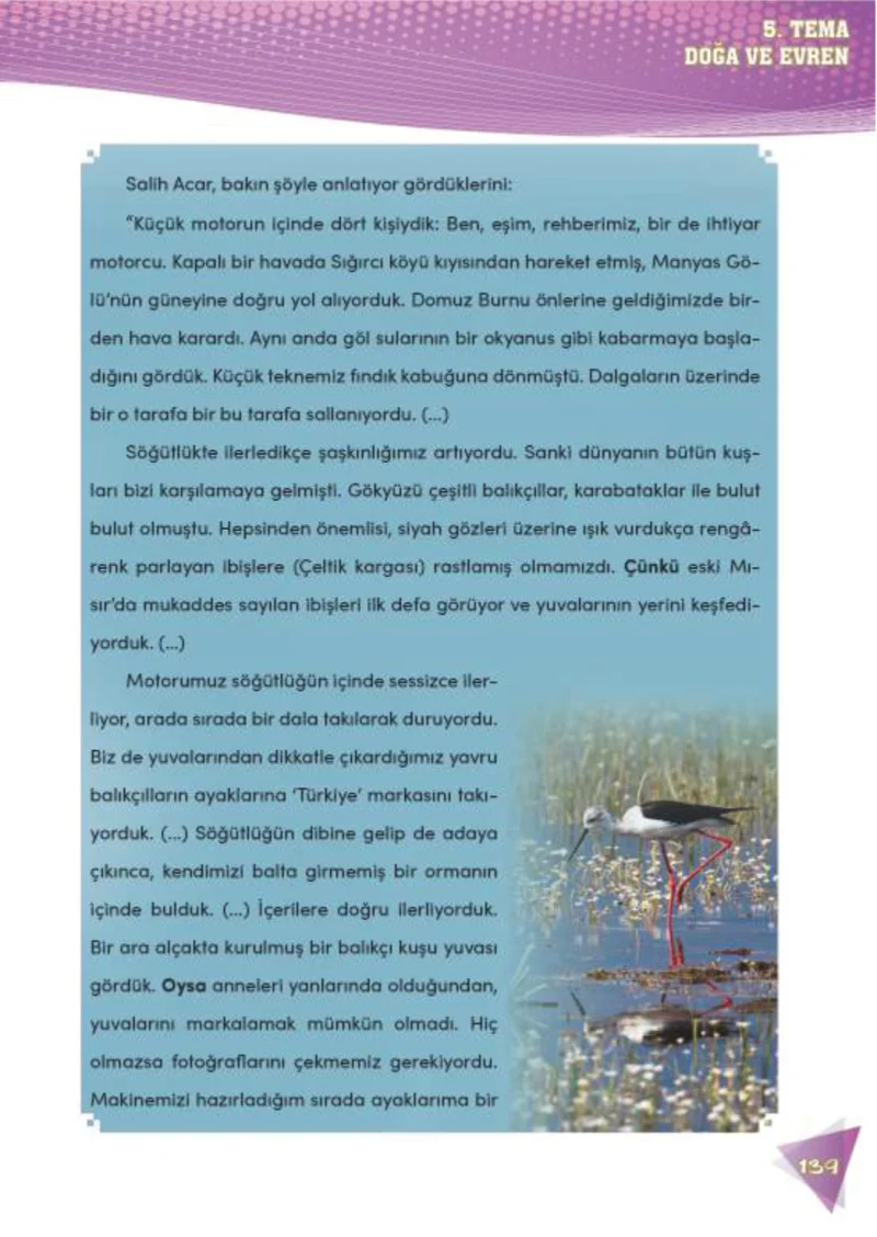 4. Sınıf Türkçe Ders Kitabı Cevapları Meb Yayınları 2 Sayfa 139