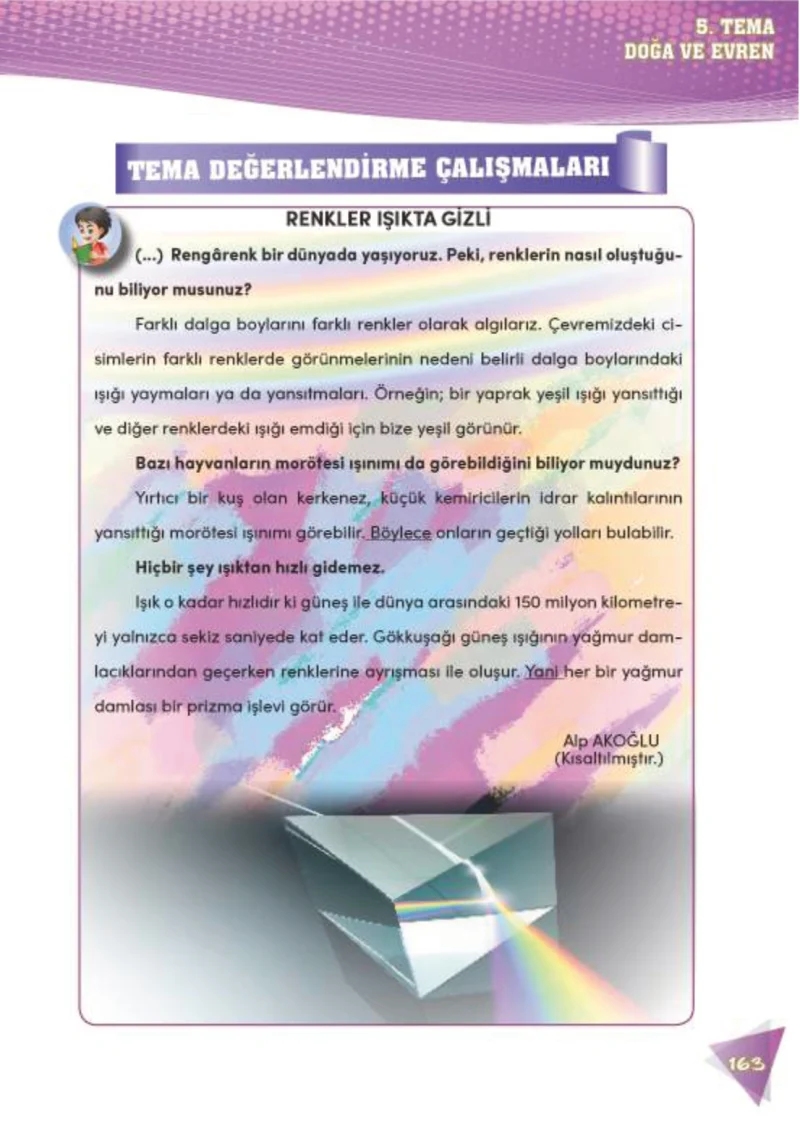 4. Sınıf Türkçe Ders Kitabı Cevapları Meb Yayınları 2 Sayfa 163