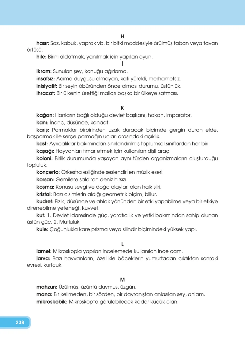 4. Sınıf Türkçe Ders Kitabı Cevapları Özgün Yayınları Sayfa 238