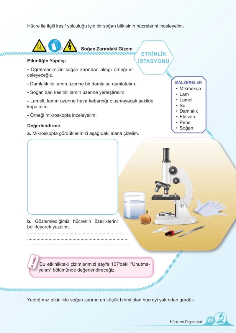 5. Sınıf Fen Bilimleri Ders Kitabı Cevapları Meb Yayınları 1.Kitap Sayfa 105