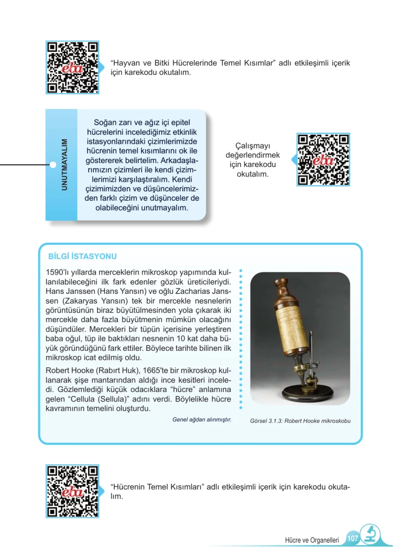 5. Sınıf Fen Bilimleri Ders Kitabı Cevapları Meb Yayınları 1.Kitap Sayfa 107
