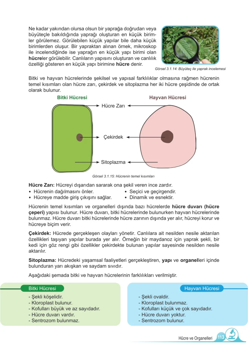 5. Sınıf Fen Bilimleri Ders Kitabı Cevapları Meb Yayınları 1.Kitap Sayfa 113