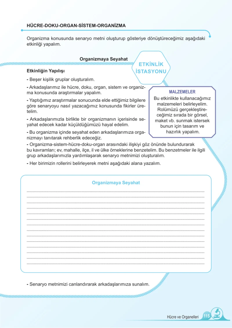 5. Sınıf Fen Bilimleri Ders Kitabı Cevapları Meb Yayınları 1.Kitap Sayfa 115