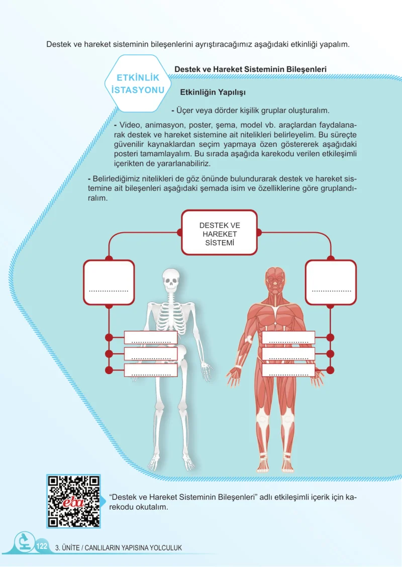 5. Sınıf Fen Bilimleri Ders Kitabı Cevapları Meb Yayınları 1.Kitap Sayfa 122
