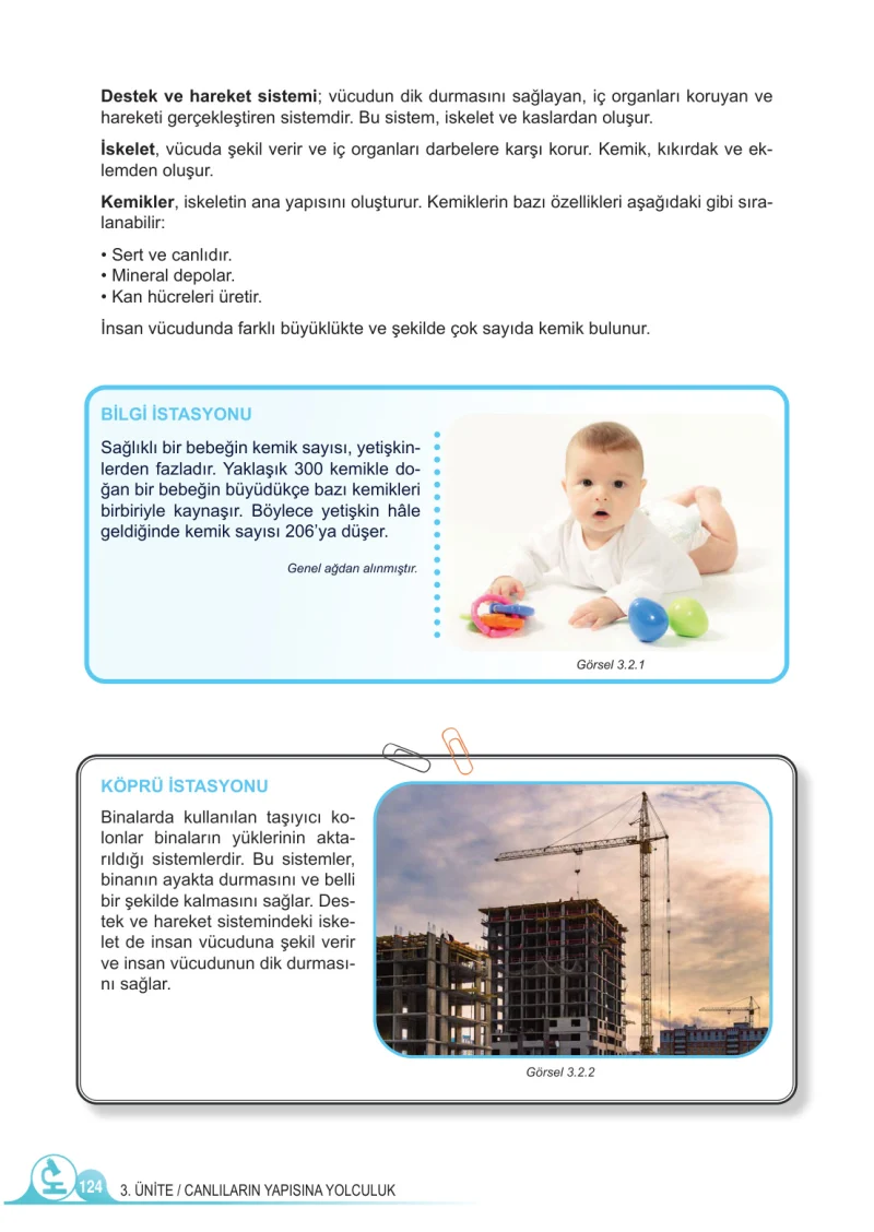 5. Sınıf Fen Bilimleri Ders Kitabı Cevapları Meb Yayınları 1.Kitap Sayfa 124