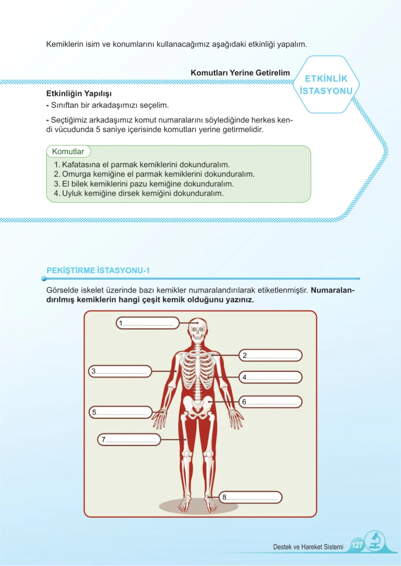 5. Sınıf Fen Bilimleri Ders Kitabı Cevapları Meb Yayınları 1.Kitap Sayfa 127