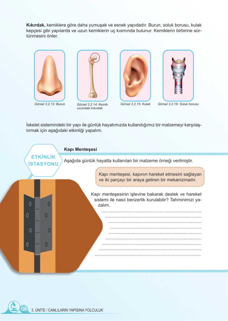 5. Sınıf Fen Bilimleri Ders Kitabı Cevapları Meb Yayınları 1.Kitap Sayfa 128