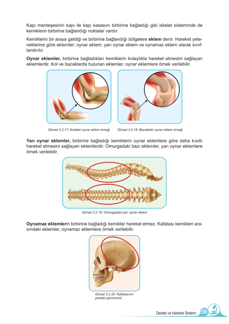 5. Sınıf Fen Bilimleri Ders Kitabı Cevapları Meb Yayınları 1.Kitap Sayfa 129
