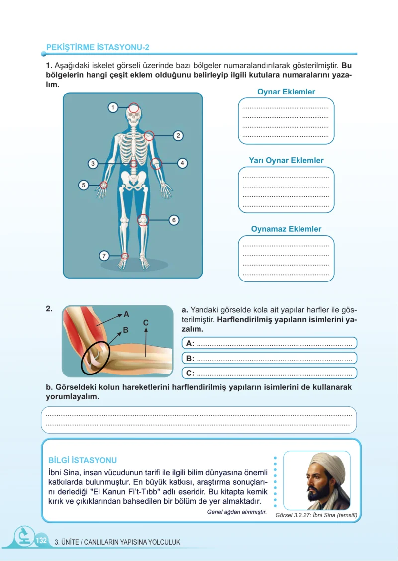 5. Sınıf Fen Bilimleri Ders Kitabı Cevapları Meb Yayınları 1.Kitap Sayfa 132