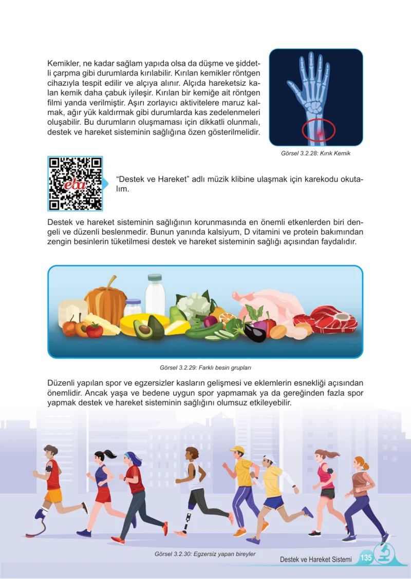5. Sınıf Fen Bilimleri Ders Kitabı Cevapları Meb Yayınları 1.Kitap Sayfa 135