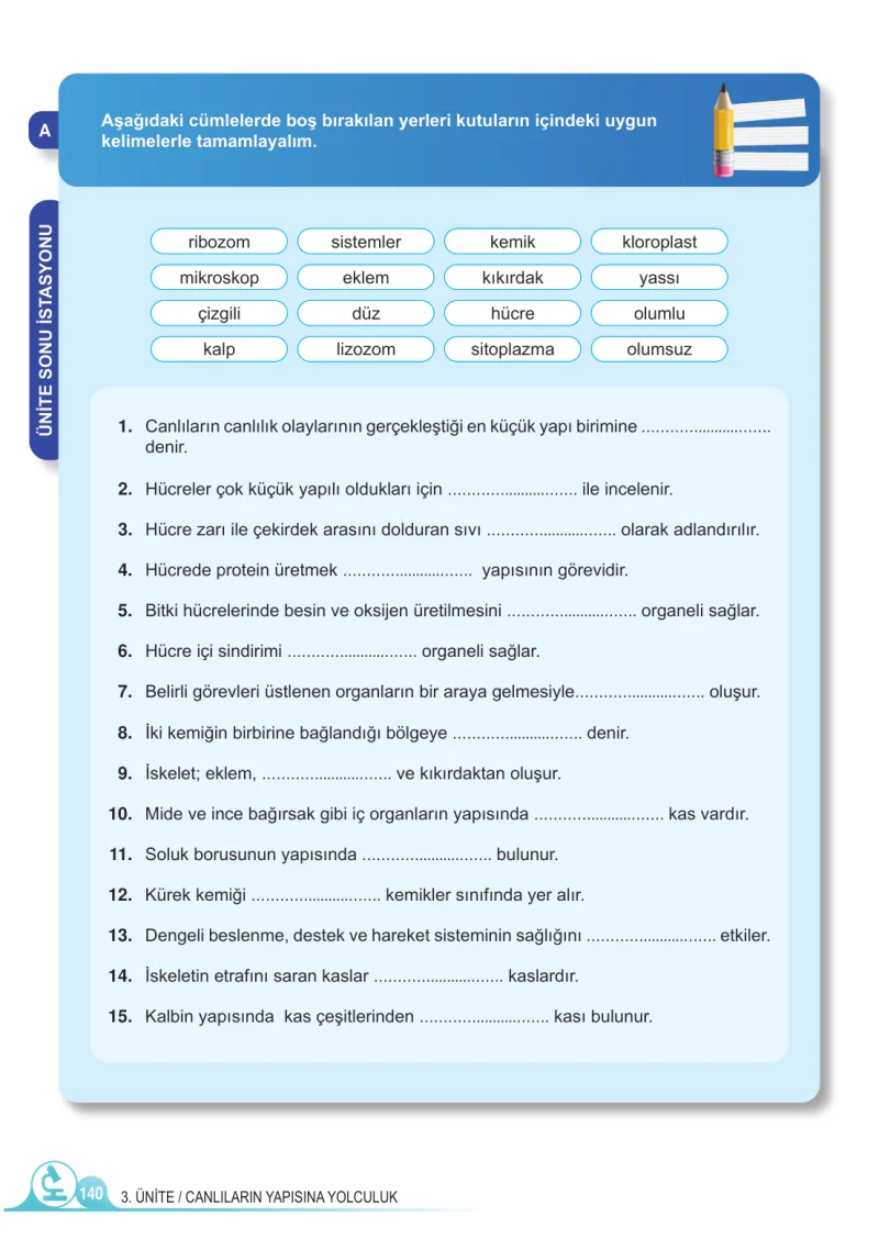5. Sınıf Fen Bilimleri Ders Kitabı Cevapları Meb Yayınları 1.Kitap Sayfa 140