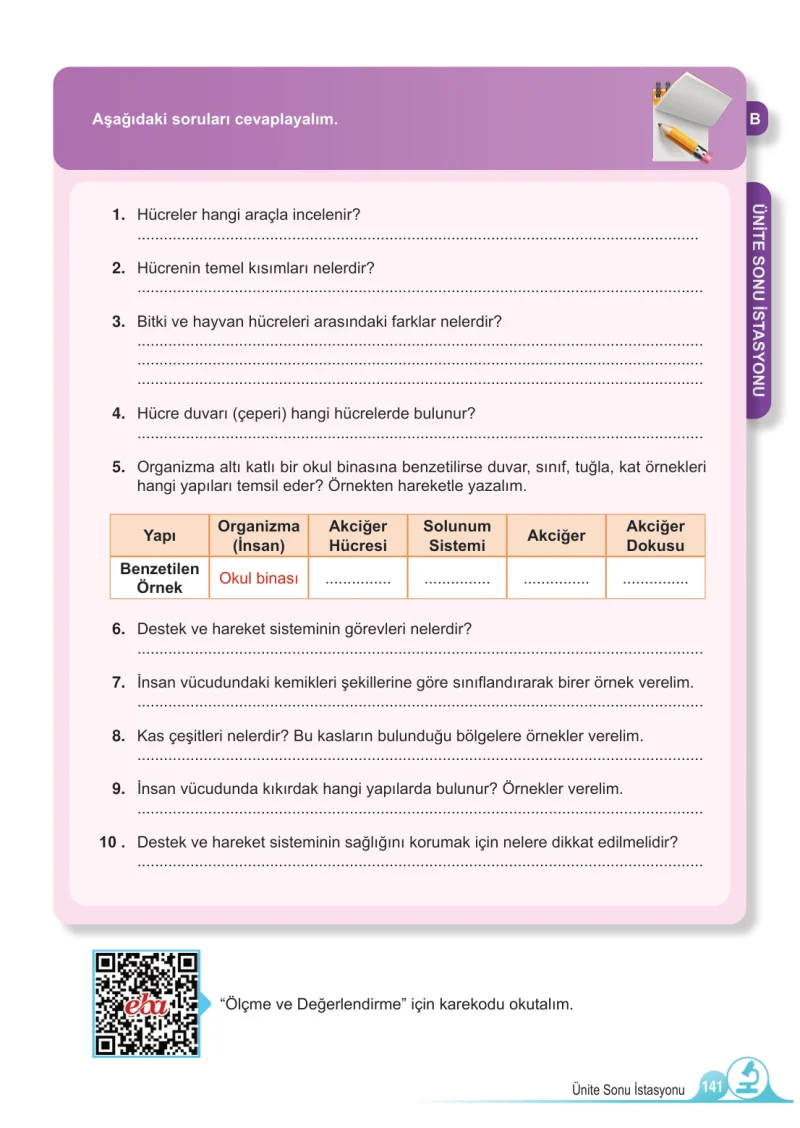 5. Sınıf Fen Bilimleri Ders Kitabı Cevapları Meb Yayınları 1.Kitap Sayfa 141