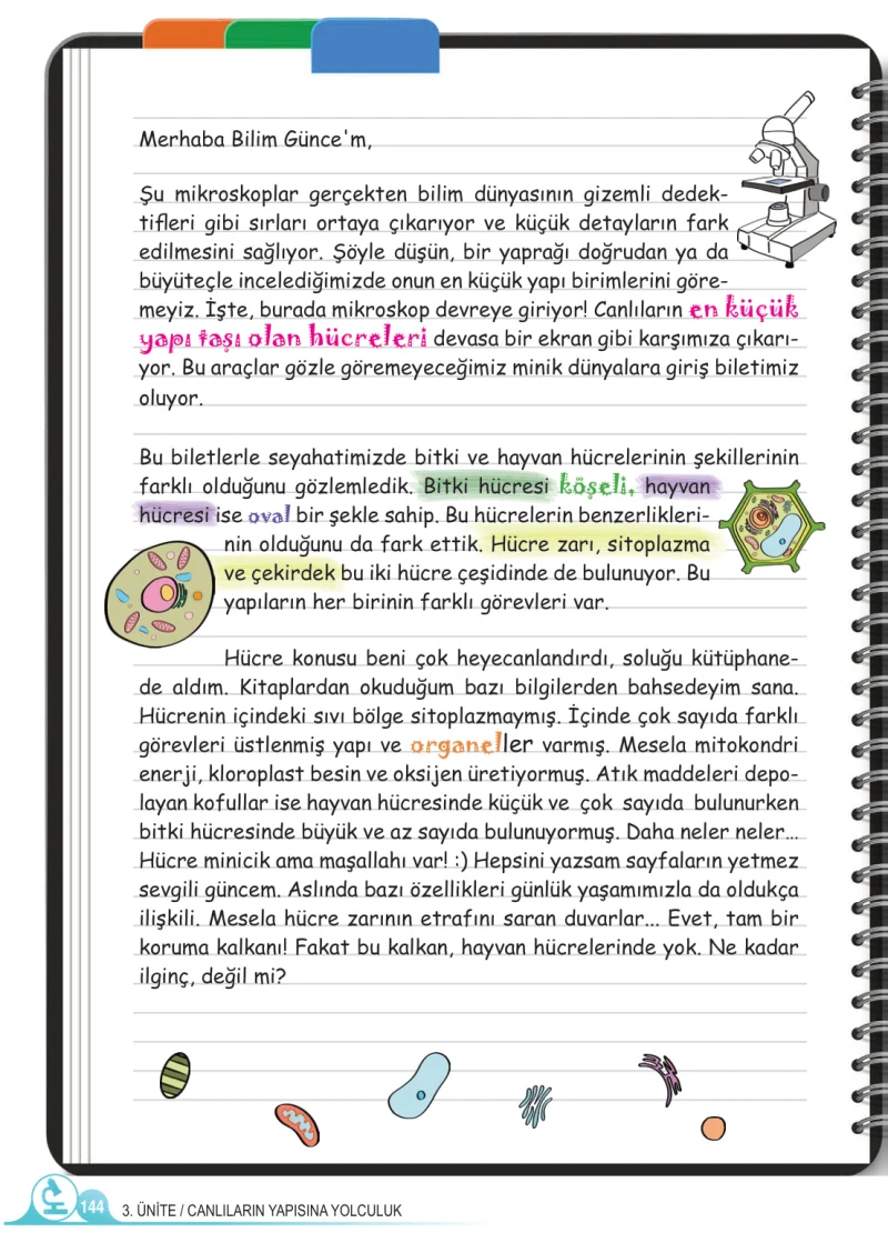 5. Sınıf Fen Bilimleri Ders Kitabı Cevapları Meb Yayınları 1.Kitap Sayfa 144