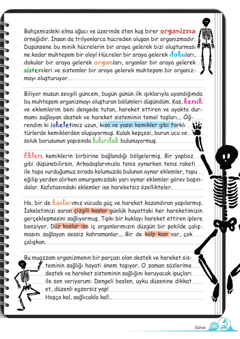 5. Sınıf Fen Bilimleri Ders Kitabı Cevapları Meb Yayınları 1.Kitap Sayfa 145