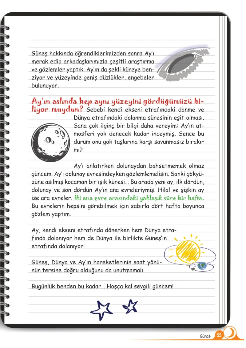 5. Sınıf Fen Bilimleri Ders Kitabı Cevapları Meb Yayınları 1.Kitap Sayfa 55