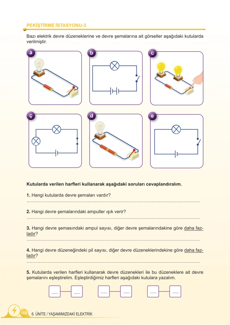 5. Sınıf Fen Bilimleri Ders Kitabı Cevapları Meb Yayınları 2.Kitap Sayfa 116