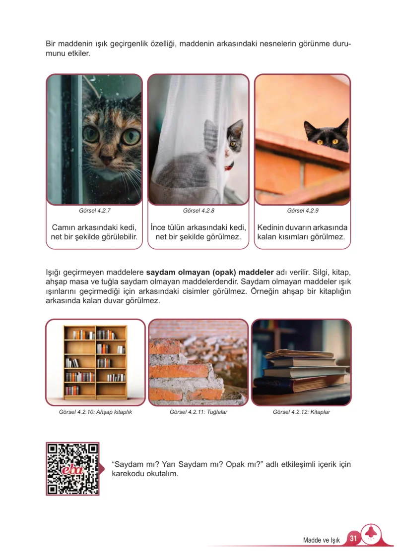 5. Sınıf Fen Bilimleri Ders Kitabı Cevapları Meb Yayınları 2.Kitap Sayfa 31
