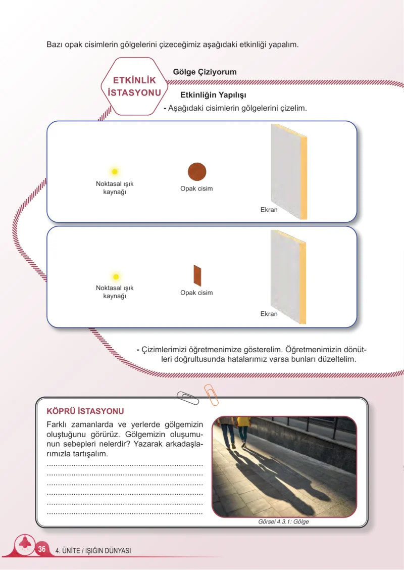 5. Sınıf Fen Bilimleri Ders Kitabı Cevapları Meb Yayınları 2.Kitap Sayfa 36