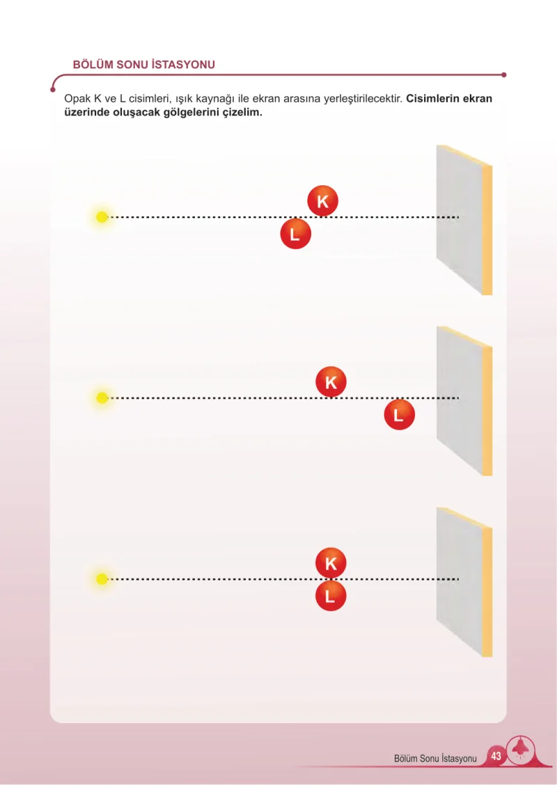 5. Sınıf Fen Bilimleri Ders Kitabı Cevapları Meb Yayınları 2.Kitap Sayfa 43