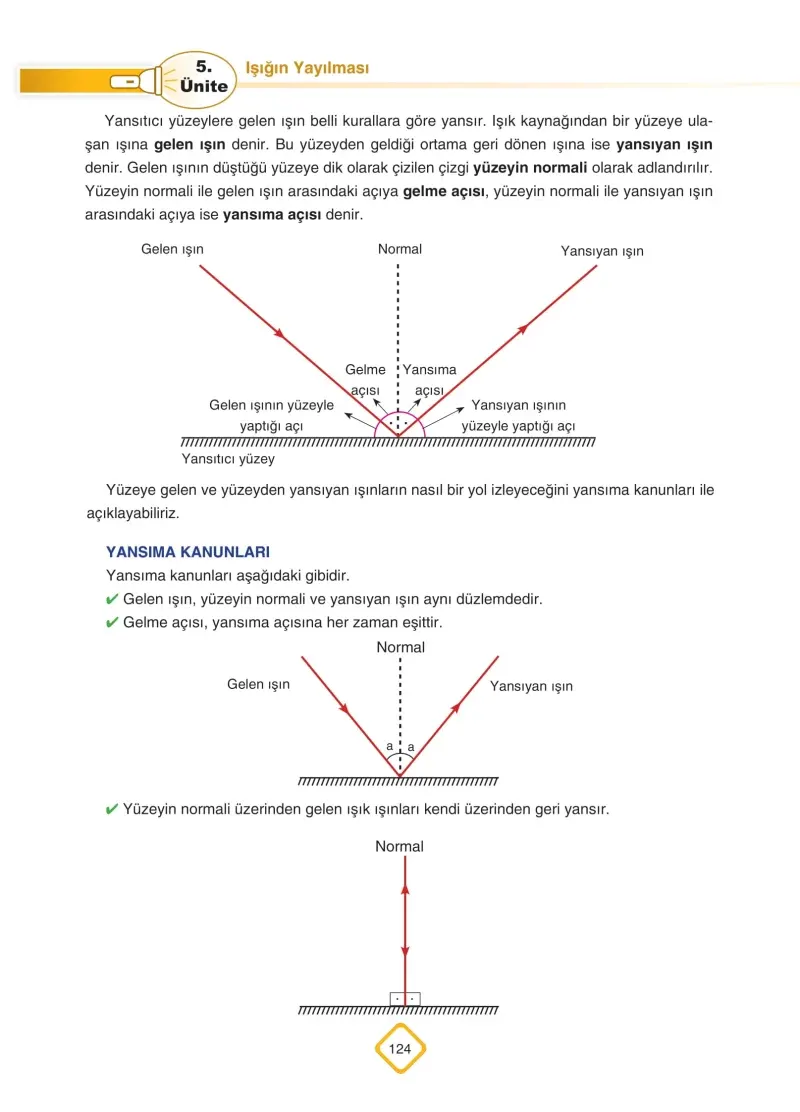 5. Sınıf Fen Bilimleri Ders Kitabı Cevapları SDR Dİkey Yayınları Sayfa 124