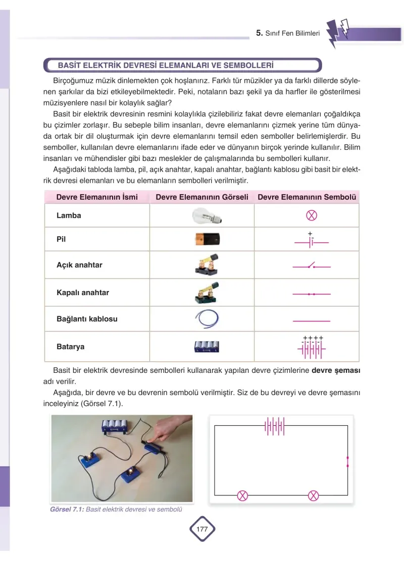 5. Sınıf Fen Bilimleri Ders Kitabı Cevapları SDR Dİkey Yayınları Sayfa 177