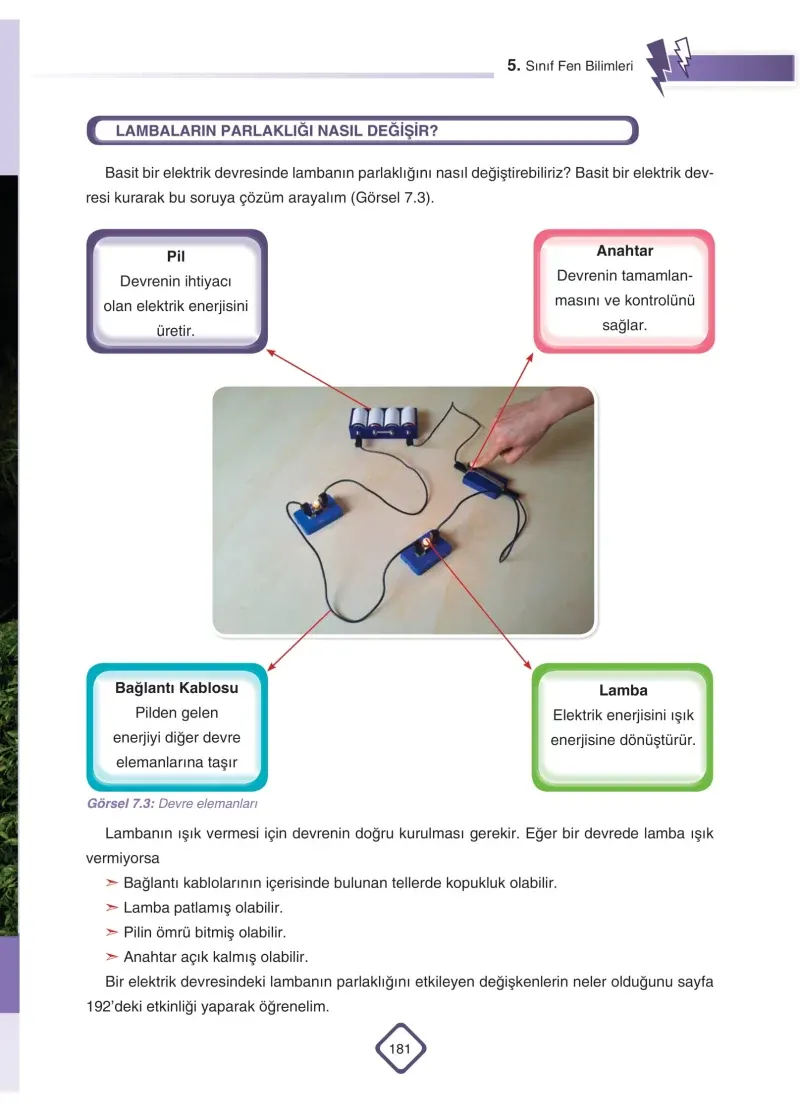 5. Sınıf Fen Bilimleri Ders Kitabı Cevapları SDR Dİkey Yayınları Sayfa 181