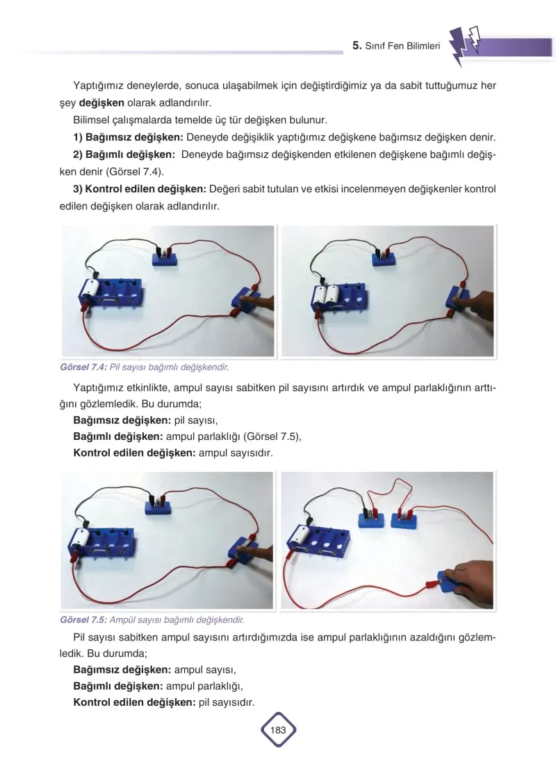 5. Sınıf Fen Bilimleri Ders Kitabı Cevapları SDR Dİkey Yayınları Sayfa 183