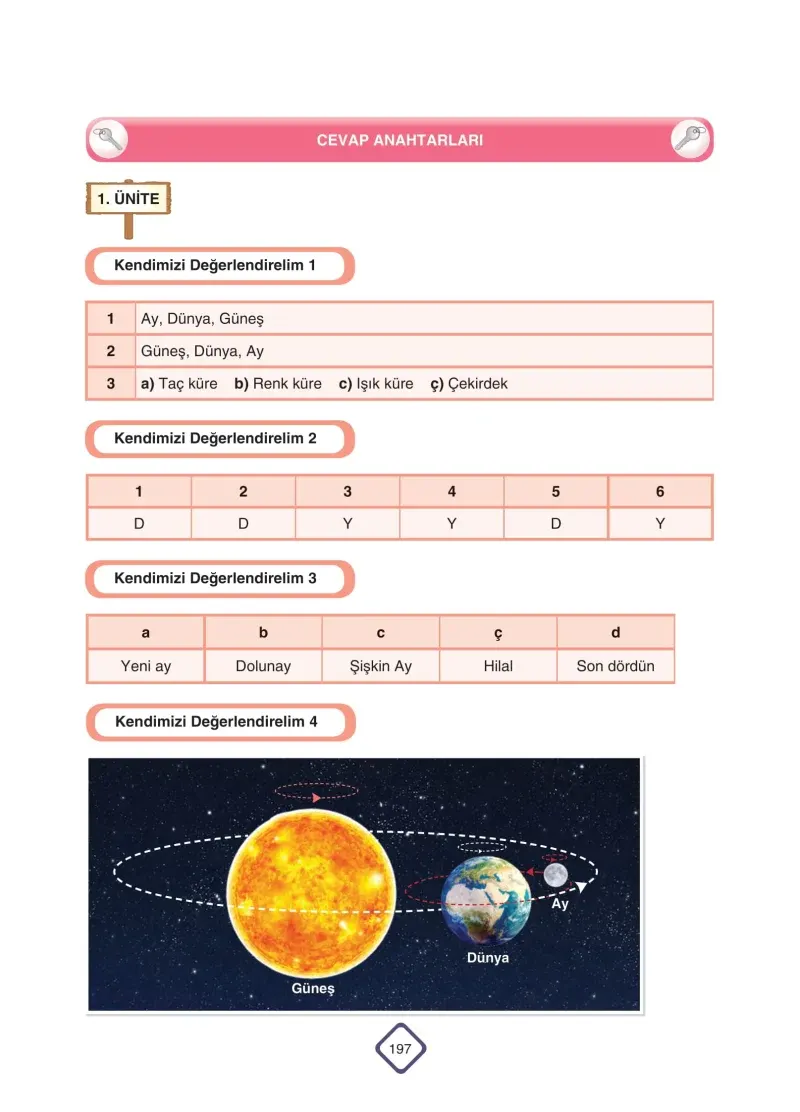 5. Sınıf Fen Bilimleri Ders Kitabı Cevapları SDR Dİkey Yayınları Sayfa 197