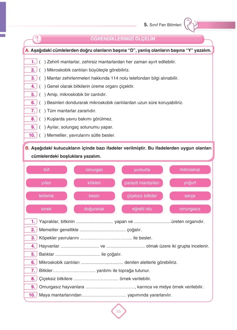 5. Sınıf Fen Bilimleri Ders Kitabı Cevapları SDR Dİkey Yayınları Sayfa 55