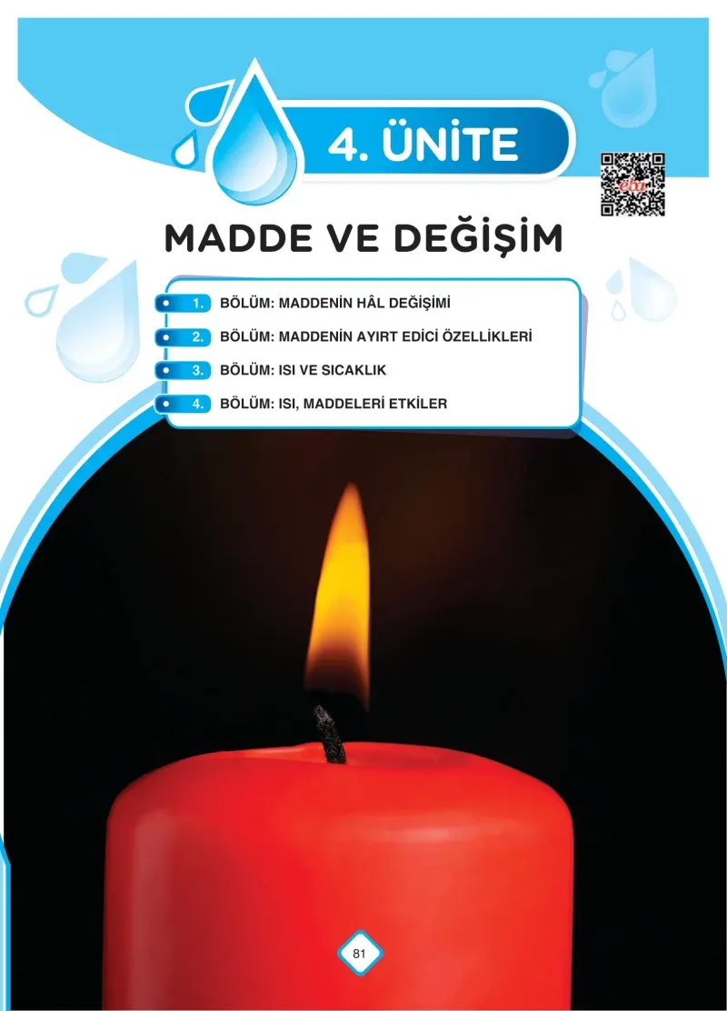 5. Sınıf Fen Bilimleri Ders Kitabı Cevapları SDR Dİkey Yayınları Sayfa 81