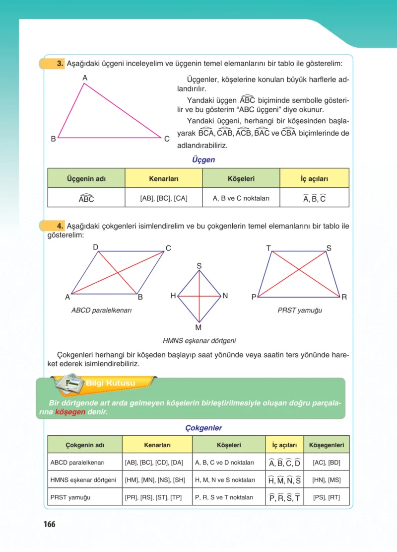 5. Sınıf Matematik Ders Kitabı Cevapları Koza Yayınları Sayfa 166