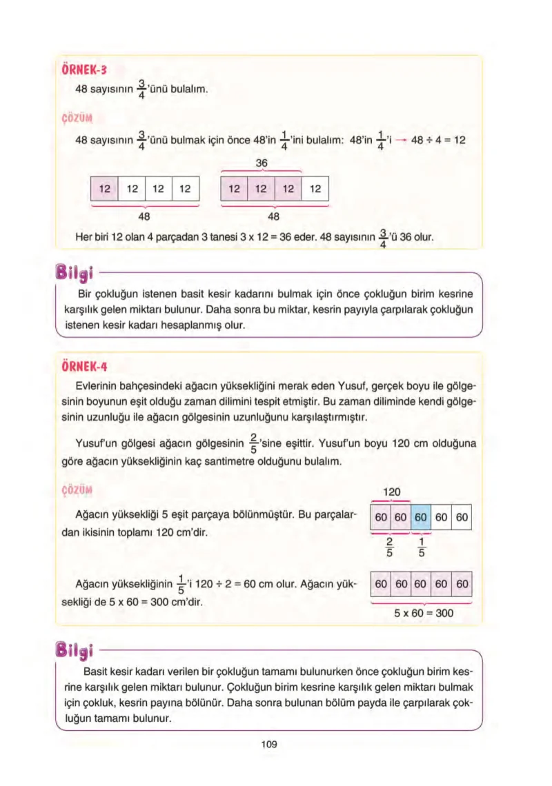 5. Sınıf Matematik Ders Kitabı Cevapları Tuna Yayınları Sayfa 109