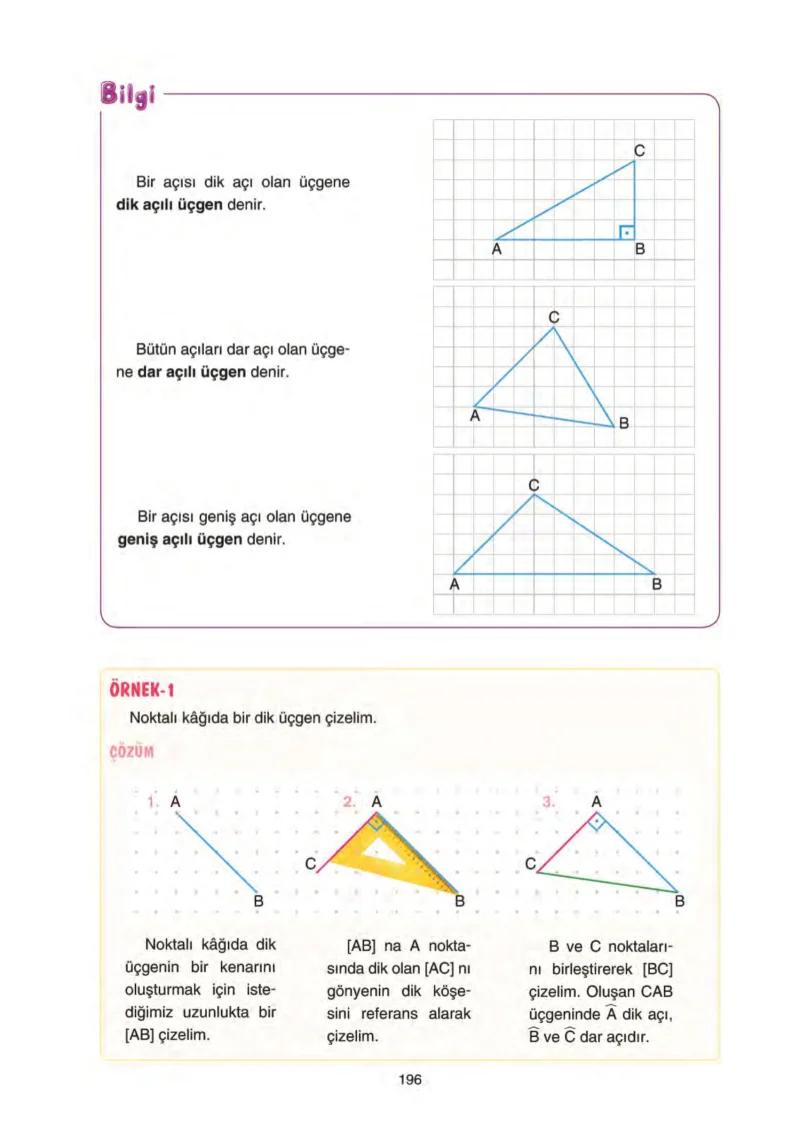5. Sınıf Matematik Ders Kitabı Cevapları Tuna Yayınları Sayfa 196